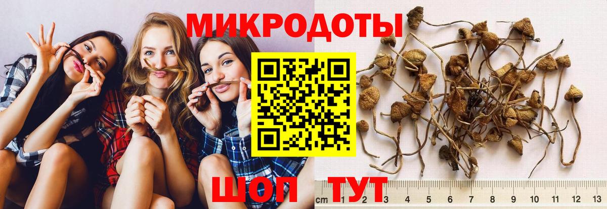 Галлюциногенные грибы мухоморы Ачхой-Мартан